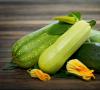 About the benefits of zucchini: effects on the body. What are the beneficial properties of zucchini?